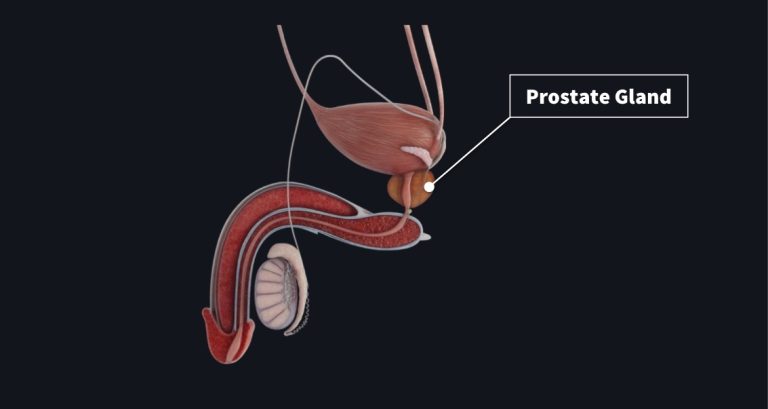 prostate-gland-768x409